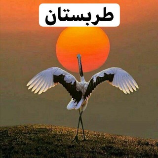 لوگوی کانال تلگرام tarabesstaan — طربستان