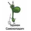 Логотип телеграм канала @tarakany_vgolove — Тараканы в голове