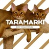 Логотип телеграм канала @taramarki — Кошкин блог | Всё о котах и кошках | ТараМарки