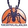 Логотип телеграм канала @tarantulas_kh_ua — Интересности о пауках (tarantulas_kh_ua)