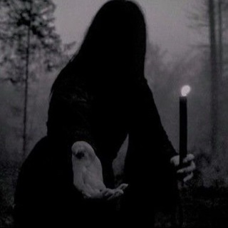 电报频道的标志 taro_68 — 🔮