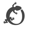 Логотип телеграм канала @taro_salamandra — Таро Саламандры🌛🌕🌜
