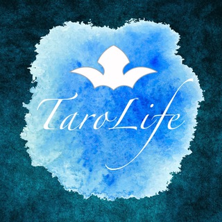 Логотип телеграм канала @tarolifeee — TaroLife