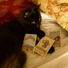 Логотип телеграм канала @taromimm — Расклады таро🫆