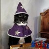 Логотип телеграм канала @tarot_30 — Гадания и просмотры