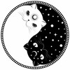 Логотип телеграм канала @tarotchat_blog — Сама себе Таролог