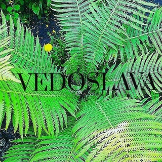 Логотип телеграм канала @tarovedoslava — vedoslava