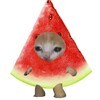 Telegram channel 🍉 logo