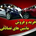 Logo saluran telegram tasadofihabibian — تصادفی کارن