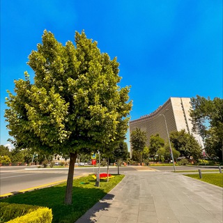 Telegram kanalining logotibi tashkentinpictures — Tashkent in pictures and videos