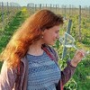 Логотип телеграм канала @taste_eat — Мне только попробовать