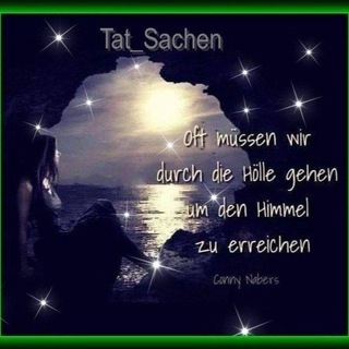 Logo des Telegrammkanals tat_sachen - 🛎Tat_Sachen/Kanal🛎