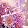 Логотип телеграм канала @tatarcha_otkritkalar — Татарча открыткалар