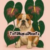 Логотип телеграм канала @tati_surplus_plants — Излишки Tati