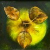 Логотип телеграм канала @tatiana_kostina_art — Татьяна Костина🍏Tatiana Kostina