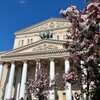 Логотип телеграм канала @tatianasletters — Письма Татьяны