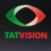 Логотип телеграм канала @tatvision — ТАТВИЖН