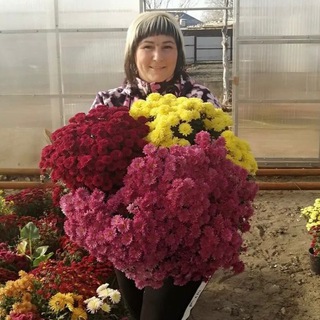 Логотип телеграм канала @tatyana_sar_64 — Tatyana_sar_64