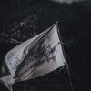 Логотип телеграм канала @tauh1d1 — лучшая из общин.