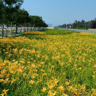 电报频道的标志 tccoast — 台中海線讚