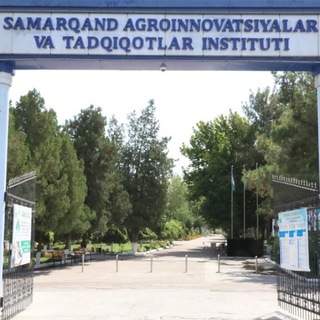 Telegram kanalining logotibi tdausf — Samarqand agroinnovatsiyalar va tadqiqotlar instituti rasmiy kanali
