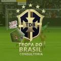 Logo saluran telegram tdb2025 — TROPA DO BRASIL🇧🇷 (VIRTUAL)🎮