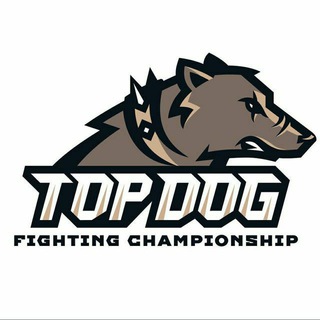 Логотип телеграм канала @tdfcmusic — Top Dog music