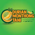 Logo saluran telegram tdurianmonthong — Durian Monthong Tani