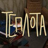 Логотип телеграм канала @te_son — Теплота и дёготь.