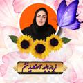Logo saluran telegram teacher_zeinalpoor — پایه ششم زینالپور