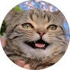 Логотип телеграм канала @teachingbuzz — 🐝 Teaching buzz