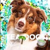 Логотип телеграм канала @teadogs1 — ﹆ׂׂ 🍵Tea Dogs ৎ🌴 .