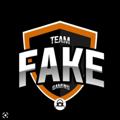 Logo saluran telegram team_fake — Team Fake🇲🇲