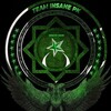 Logo of telegram channel team_insane_pakistan — Team insane Pk Official