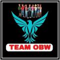Logo saluran telegram team_obw_official — TEAM OBW BIHAR