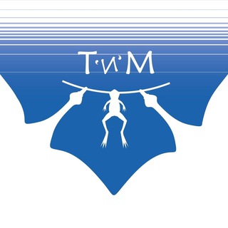 Логотип телеграм канала @teamareus — ТиМ