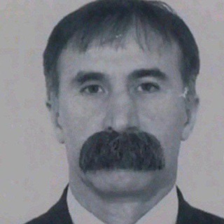 Логотип телеграм канала @teamberrys — НЕ ДЕЙСТВУЕТ