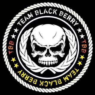 Логотип телеграм канала @teamblackberry — 𝐓𝐄𝐀𝐌-𝐁𝐋𝐀𝐂𝐊-𝐁𝐄𝐑𝐑𝐘
