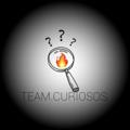 Logo saluran telegram teamcuriosos1 — TEAM CURIOSOS 🔥🔍