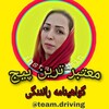 لوگوی کانال تلگرام teamdriving — 🔖گواهینامه_رانندگی_غیر حضوری_معتبر🚦📍گواهینت
