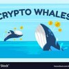 Logo of telegram channel teameaglesignal — Crypto Whalse News 🐳