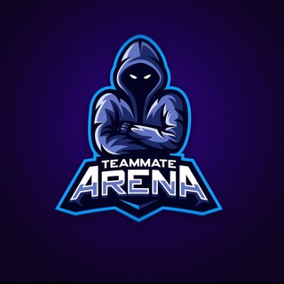 Логотип телеграм канала @teammate_a — Teammate Arena