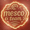 Logo of telegram channel teammesco — MESCO team