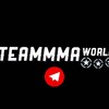 Логотип телеграм канала @teammmaworld — TeamMMAworld