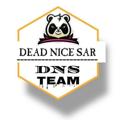 Logo of telegram channel teamnewmyanmar — TEAM DNS PRO CHANNEL
