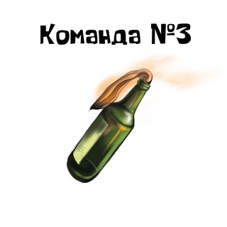 Логотип телеграм канала @teamnumber3 — Команда №3