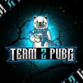 Telegram kanalining logotibi teampubg21 — TEAM 2 PUBG