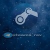 Логотип телеграм канала @teams_rev — стим наизнанку🖥|общие аккаунты стим