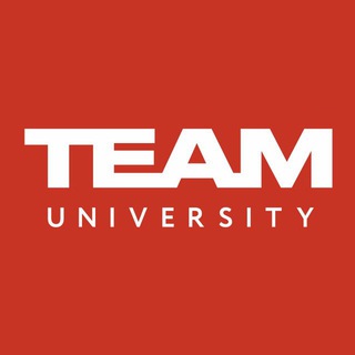 Логотип телеграм канала @teamuniversityuz — TEAM University