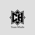 Logo saluran telegram teamwhalle — Team | Whalle
